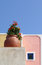 Free Flower-pot Royalty Free Stock Photos - 4140848