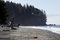 Free Victoria Island Beach Royalty Free Stock Image - 4143786