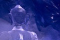 Free Winter Arts. Head Made Of Ice. Stock Photo - 4160790