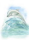 Free Flying Dolphin Stock Photography - 4161482