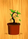 Free Plant Growth Stock Image - 4169421