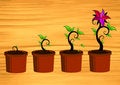 Free Floral Growth On Wood Royalty Free Stock Photography - 4169467