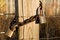 Free Old Locks And Chain Stock Photography - 4165192