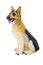 Free Toy Doggie Royalty Free Stock Photo - 4171745