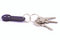 Free Bunch Of Keys With Dark Blue Smile Trinket. Royalty Free Stock Image - 4171906
