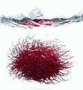 Free Rambutan Splash Royalty Free Stock Photography - 4182587