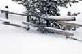 Free Snow Fence Royalty Free Stock Images - 4189259