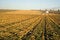 Free Lonely Farm Royalty Free Stock Photo - 4186345