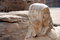 Free Ancient Statue At Karnak Temple Royalty Free Stock Photography - 4188047