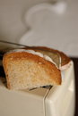 Free Toaster Royalty Free Stock Image - 4199216
