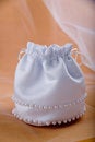Free Bridal Handbag Stock Image - 4199831