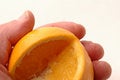 Free Orange  Diet Control Stock Image - 426101