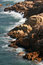 Free Rocky Coast Royalty Free Stock Photography - 427457