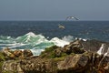 Free Gulls Soaring In Ocean Cost Stock Photos - 4211083