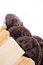 Free Cookies Royalty Free Stock Image - 4218626