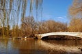 Free Central Park Royalty Free Stock Photography - 4225227