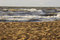 Free Footprints In The Sandy Beach Royalty Free Stock Images - 4225279