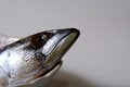 Free Head On A Dish Royalty Free Stock Photos - 4231078
