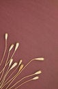 Free Decor Background Royalty Free Stock Images - 4250459