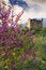 Free Ruins Of An Old Tower In Rural Setting Royalty Free Stock Photos - 4257088