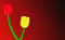Free Red And Yellow Tulips Stock Photography - 4260582
