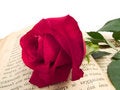 Free Rose On Book Stock Photography - 4276292