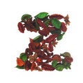 Free Natural Letter Z Stock Photography - 4279192