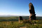 Free Hasituha Stone Forest Stock Photography - 4277092