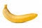 Free Isolated Banana Royalty Free Stock Photos - 4283098