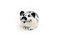 Free Toy Happy Pig Royalty Free Stock Photos - 4288918