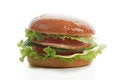 Free Hamburger Royalty Free Stock Photos - 4293808