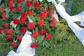 Free Roses On A Grave Stock Photo - 4298540