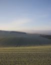 Free Foggy Day 5 Stock Images - 430804
