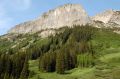 Free Bear Top Mountain Stock Image - 432701