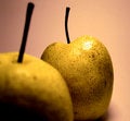 Free Fruit Diet  02 Royalty Free Stock Images - 433439