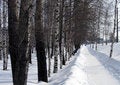 Free Alley Stock Photography - 433752
