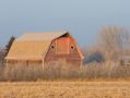 Free Barn Stock Photography - 438512
