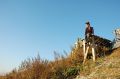 Free Solitude Royalty Free Stock Images - 439969