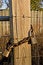 Free Old Locks On A Post Royalty Free Stock Photography - 4308357