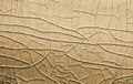 Free Rough Surface Royalty Free Stock Image - 4314676