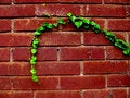 Free Life In The City Royalty Free Stock Photos - 4319258