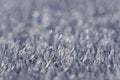 Free Morning Frost Crystals Royalty Free Stock Photo - 4319725
