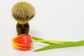 Free Shaving Brush And Spring Tulip Stock Photos - 4328653