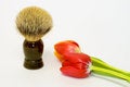 Free Shaving Brush And Spring Tulip Royalty Free Stock Image - 4328656
