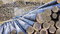 Free Timber Royalty Free Stock Photo - 4321575