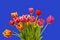 Free Spring Tulip Bouquet On Blue Stock Images - 4327134