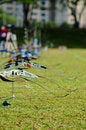 Free Bows On Ground Stock Photography - 4332212