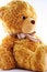 Free Teddybear Royalty Free Stock Photography - 4331687