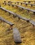 Free Benches Royalty Free Stock Photo - 4332115