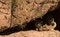 Free Cats On A Ledge Stock Photo - 4337570